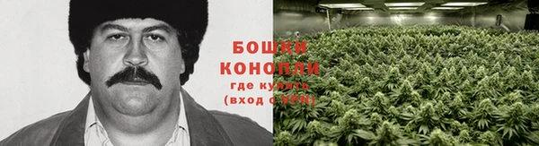 jwh Богданович