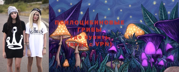 хмурый Ладушкин