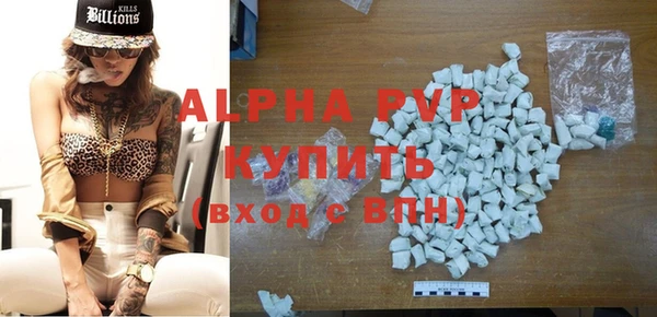 индика Гусев