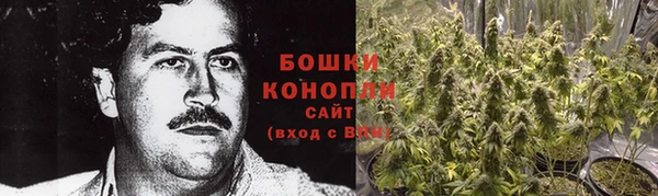 гидра Бронницы