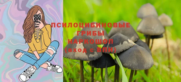 круглые Богородицк